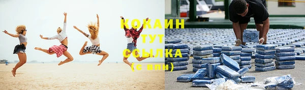 крисы Нея