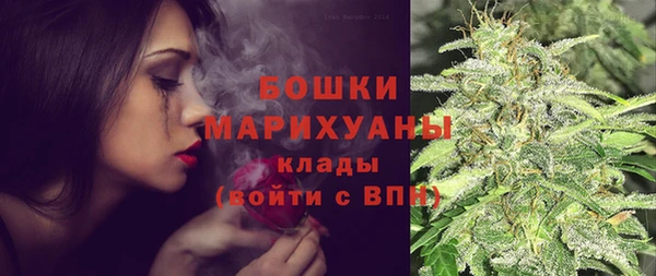 крисы Нея