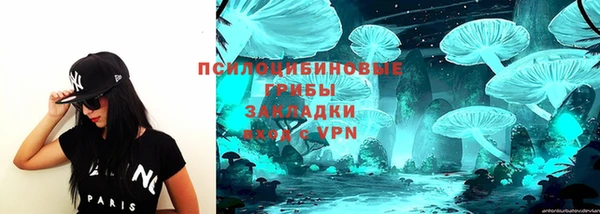 мяу мяу мука Новодвинск